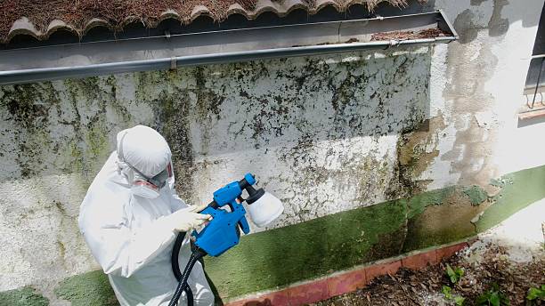 Top rated local Bathroom Mold Removal specialists in Reedsville, PA